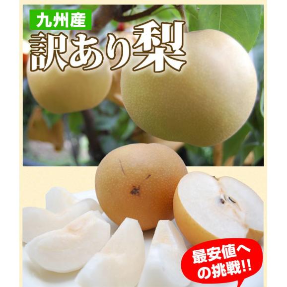 訳あり梨 箱込約5kg 内容量4kg+不良果補償分500g 送料無料 九州産 豊水 幸水 秋月 新高 別途追加送料東北200円 北海道400円 沖縄離島1000円02