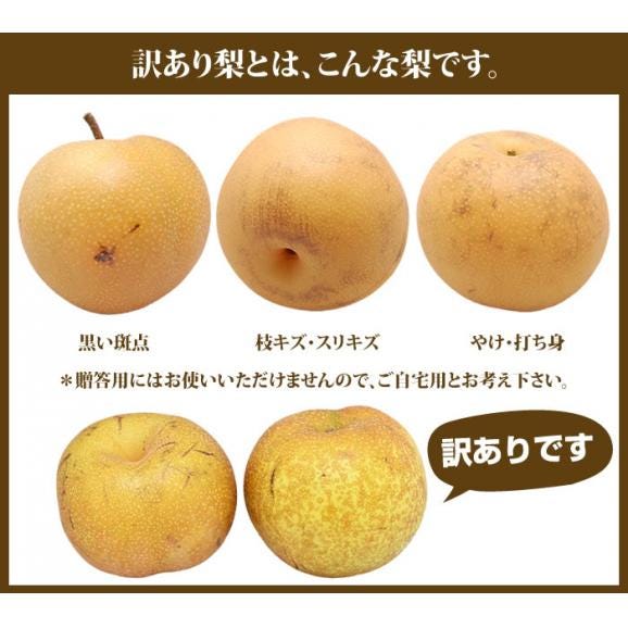 訳あり梨 箱込約5kg【内容量4kg+不良果補償分500g】 送料無料 熊本県産 豊水 幸水 秋月 新高 別途追加送料東北200円 北海道400円 沖縄離島1000円05