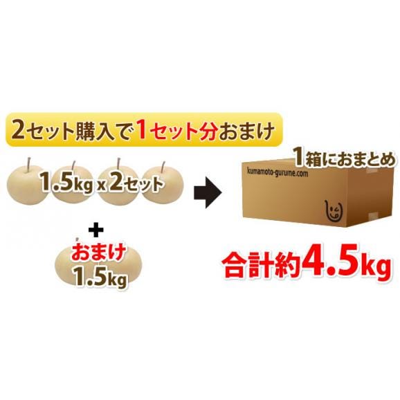 梨 訳あり 約1.5kg 2セット購入で1セットおまけ 送料無料 九州産 豊水 幸水 秋月 新高 新興 ご自宅用 なし【5～10営業日以内で出荷予定（店舗休業日除く）】02