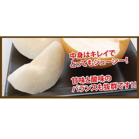梨 訳あり 約1.5kg 2セット購入で1セットおまけ 送料無料 九州産 豊水 幸水 秋月 新高 新興 ご自宅用 なし【5～10営業日以内で出荷予定（店舗休業日除く）】04