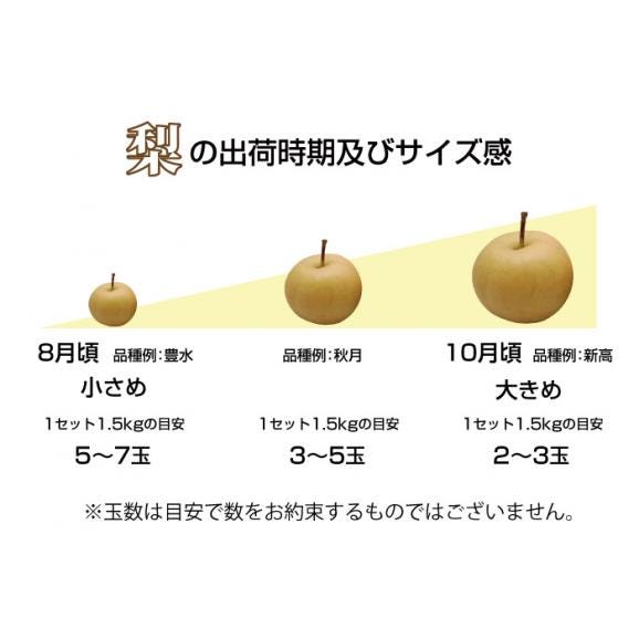 梨 訳あり 約1.5kg 2セット購入で1セットおまけ 送料無料 九州産 豊水 幸水 秋月 新高 新興 ご自宅用 なし【5～10営業日以内で出荷予定（店舗休業日除く）】05