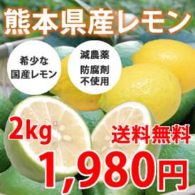 レモン 希少な国産 熊本県三角産 2kg れもん 檸檬