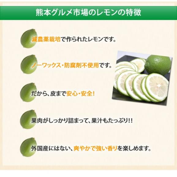 レモン 希少な国産 熊本県三角産 2kg れもん 檸檬06