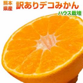 デコみかん 訳あり 熊本県産 1.5kg ハウス栽培 複数購入で特典満載 デコポンと同品種 ミカン 蜜柑