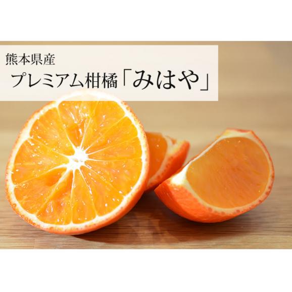 【プレミアム柑橘】みはや みかん 送料無料 2kg 熊本県産 柑橘 ミカン 02