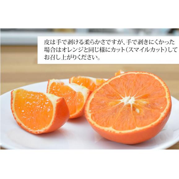 【プレミアム柑橘】みはや みかん 送料無料 2kg 熊本県産 柑橘 ミカン 06