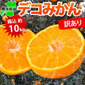 デコポンと同品種 デコみかん 送料無料 訳あり 箱込10kg 内容量9kg+補償分500g 2月上旬ごろより順次出荷 大容量 柑橘の王様 ご自宅用