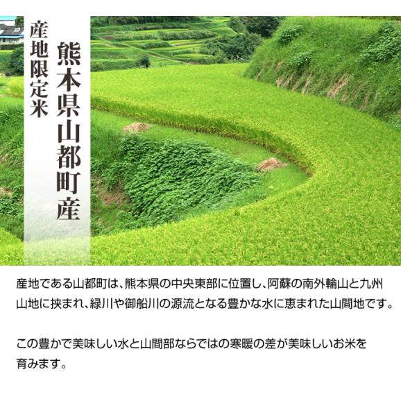 米 新米 送料無料 棚田米 ひのひかり 熊本県産 令和5年産 5kg x 2袋 計10kg03