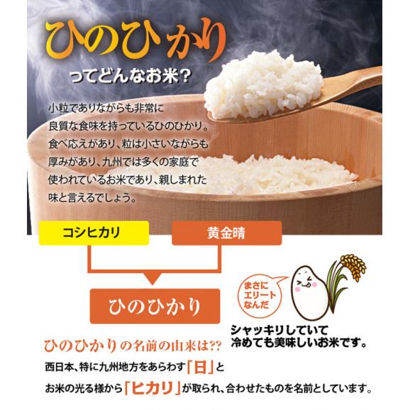 米 新米 送料無料 棚田米 ひのひかり 熊本県産 令和5年産 5kg x 2袋 計10kg04