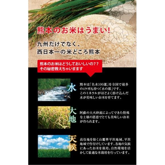 米 新米 送料無料 棚田米 ひのひかり 熊本県産 令和5年産 5kg x 2袋 計10kg05