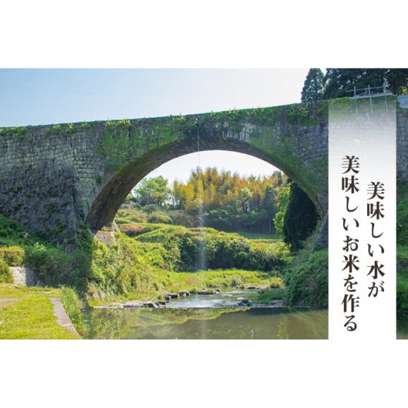 米 新米 送料無料 棚田米 ひのひかり 熊本県産 令和5年産 5kg x 2袋 計10kg06