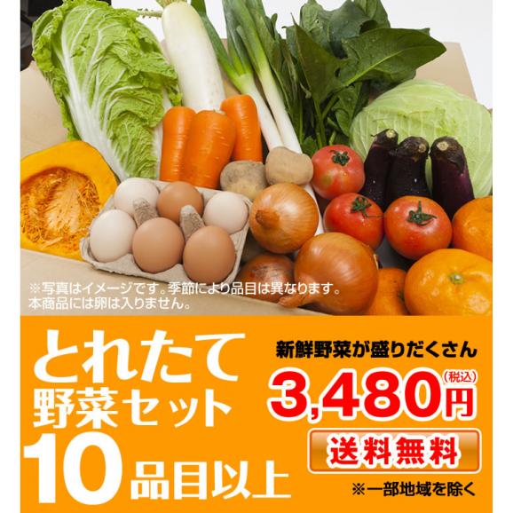 野菜セット 九州産 熊本産 送料無料 10品目以上【東北500円、北海道800円、沖縄・離島1000円の追加送料】02