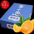 みかん 夢の恵 約2kg（1.8kg〜２kg前後）熊本県産 送料無料 赤秀品 光センサー選果 夢未来