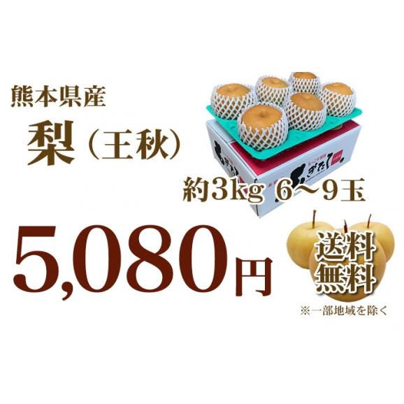 梨 王秋 送料無料 熊本県産 秀品3kg 別途追加送料東北200円 北海道400円 沖縄離島1000円 御歳暮 【12月下旬ごろより順次出荷開始予定】03