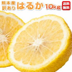 みかん はるか 訳あり 送料無料 熊本県産 10kg箱込 内容量9kg 補償分500g【東北200円、北海道400円、沖縄・離島1000円の追加送料】
