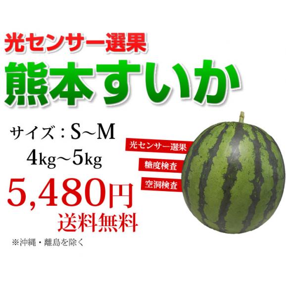 すいか 送料無料 スイカ 光センサー選果 熊本県産 1玉 4~5kg 送料無料 西瓜 suika ・東北200円、北海道400円、沖縄・離島1000円の追加送料02