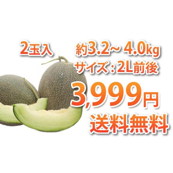 メロン 送料無料 肥後グリーン 熊本県産ブランド 優品 自宅用 2玉 計約3.2~4kg 東北200円、北海道400円、沖縄・離島1000円の追加送料03