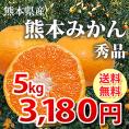 絶品の温州みかん 熊本県(河内・三角)産 秀品5kg【送料無料！3セット購入で1セット分おまけ】