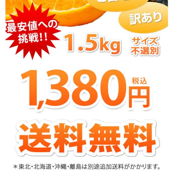 デコポンと同品種 デコみかん 送料無料 訳あり 箱込1.5kg 2セット購入で1セットおまけ 3セット購入で3セットおまけ 2月上旬ごろより順次出荷 大容量 柑橘の王様 ご自宅用03