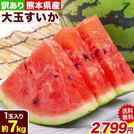 すいか 送料無料 大玉 スイカ 熊本県産 訳あり 自宅用に 西瓜  1玉 M~L 約7kg以上 【6月下旬頃〜ご予約順より順次出荷開始】