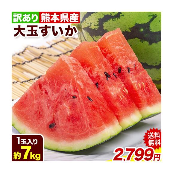 【新品】 熊本県産 スイカ 大玉 送料無料 すいか 訳あり 1 西瓜 自宅用に 果物