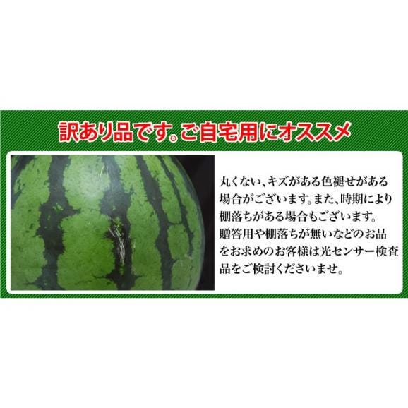 すいか 送料無料 大玉 スイカ 熊本県産 訳あり 自宅用に 西瓜  1玉 M~L 約7kg以上 【6月下旬頃〜ご予約順より順次出荷開始】04