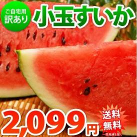 スイカ 送料無料 小玉すいか 熊本県産 ご自宅用 訳あり 計約2.3kg~2.5kg 2玉 サイズ不揃い