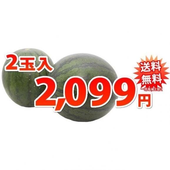 スイカ 送料無料 小玉すいか 熊本県産 ご自宅用 訳あり 計約2.3kg~2.5kg 2玉 サイズ不揃い03