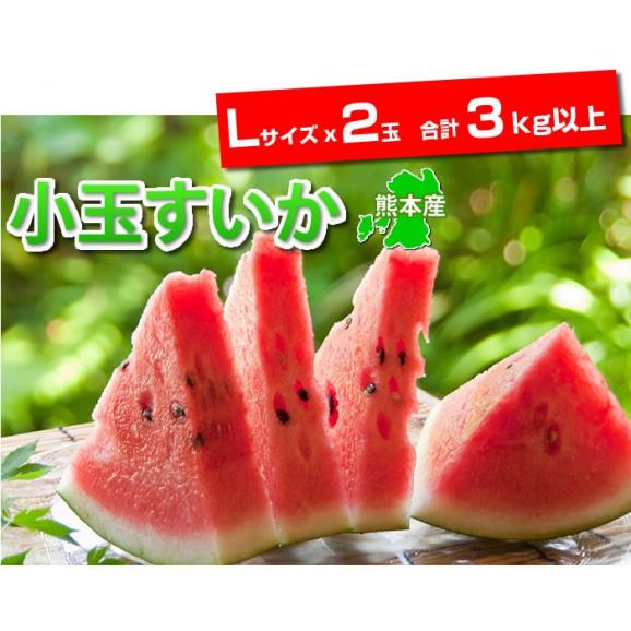 スイカ 送料無料 小玉すいか 熊本県産 ご自宅用 訳あり Lサイズ 2玉 計約3kg以上02