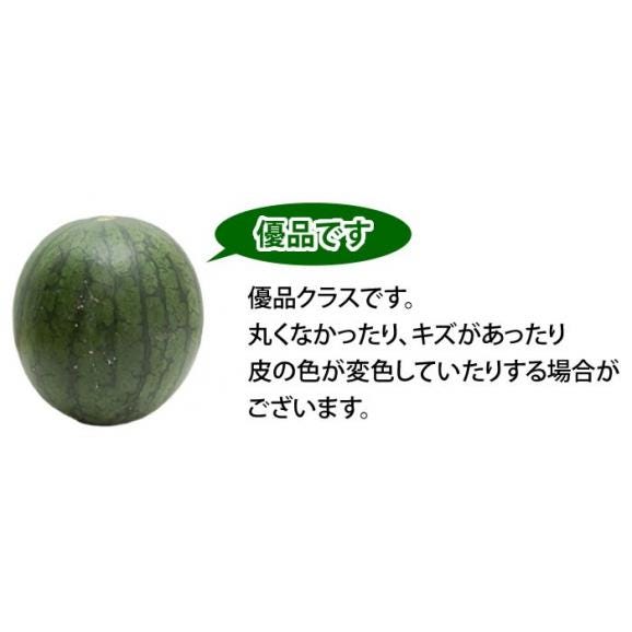 スイカ 送料無料 小玉すいか 熊本県産 ご自宅用 訳あり Lサイズ 2玉 計約3kg以上06