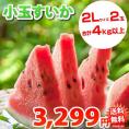 スイカ 送料無料 小玉すいか 熊本県産 ご自宅用 訳あり 2玉 計約4kg以上