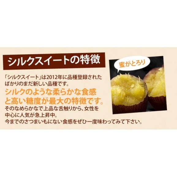 シルクスイート 訳あり 10kg 箱込 内容量9kg+補償分500g 送料無料 生芋 さつまいも 熊本県産 べにはるか サツマイモ 焼き芋に 芋 いも03
