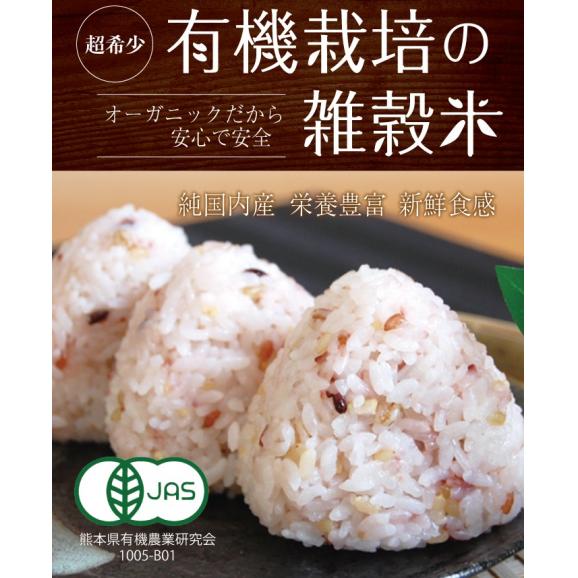 有機栽培 十穀豊穣 十穀米 200g 熊本県産 有機JAS 雑穀米 安心安全 オーガニック 無農薬02