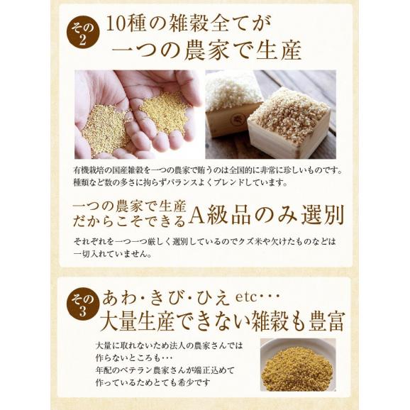 有機栽培 十穀豊穣 十穀米 200g 熊本県産 有機JAS 雑穀米 安心安全 オーガニック 無農薬04