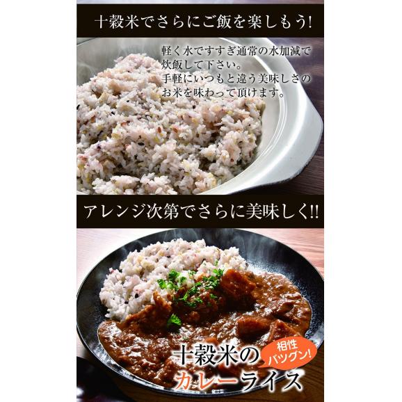 有機栽培 十穀豊穣 十穀米 200g 熊本県産 有機JAS 雑穀米 安心安全 オーガニック 無農薬06