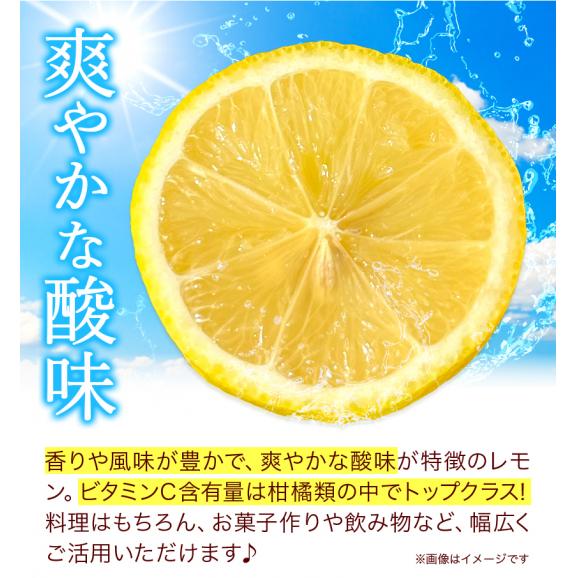 訳あり レモン 箱込5kg 熊本県産 送料無料 れもん 檸檬 ご自宅用 国産03