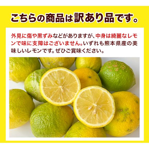訳あり レモン 箱込5kg 熊本県産 送料無料 れもん 檸檬 ご自宅用 国産05