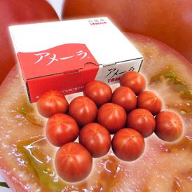 フルーツのように甘い高糖度トマト！アメーラトマト！