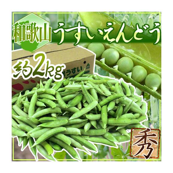 人気が高い  紀州・和歌山 ”うすいえんどう” 秀品 約2kg【予約 入荷次第発送 野菜