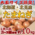  ”北海道 北見F1 たまねぎ” 秀品 約10kg 大玉L〜LLサイズ 玉葱【予約 8月末以降】 送料無料