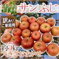 青森産 ”サンふじりんご” 訳あり 約5kg 大きさおまかせ【予約 12月以降】 送料無料