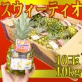 【送料無料】完熟！黄金パイン！ ”DOLEスウィーティオパイナップル” 10玉入り 約10kg 食べきりサイズ！