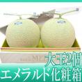 高知県夜須産 ”エメラルドメロン” 大玉 約1.8kg×2玉入り 化粧箱【予約 入荷次第発送】 送料無料