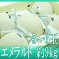高知県夜須産 ”エメラルドメロン” 大玉 5～6玉 約9kg以上【予約 入荷次第発送】 送料無料
