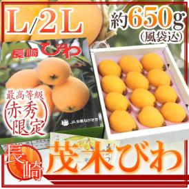 長崎県 ”茂木びわ” 赤秀品 大玉 L～2Lサイズ 約650g前後（風袋込）化粧箱入り【予約 予約 3月下旬以降】 送料無料