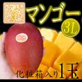 ”宮崎完熟マンゴー” 秀品 3Lサイズ 化粧箱入り 宮崎マンゴー【予約 4月以降】 送料無料