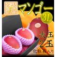 ”宮崎完熟マンゴー” 秀品 3Lサイズ 2玉入り 化粧箱 宮崎マンゴー【予約 4月以降】 送料無料