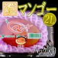 ”宮崎完熟マンゴー” 秀品 2Lサイズ 350g～459g パック入り 宮崎マンゴー【予約 3月下旬以降】
