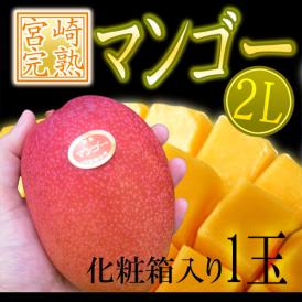 ”宮崎完熟マンゴー” 秀品 2Lサイズ 化粧箱入り 宮崎マンゴー【予約 4月下旬以降】 送料無料