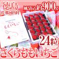 【お届け日指定可能】徳島県 ”佐那河内産 さくらももいちご” 大粒24粒 化粧箱 送料無料